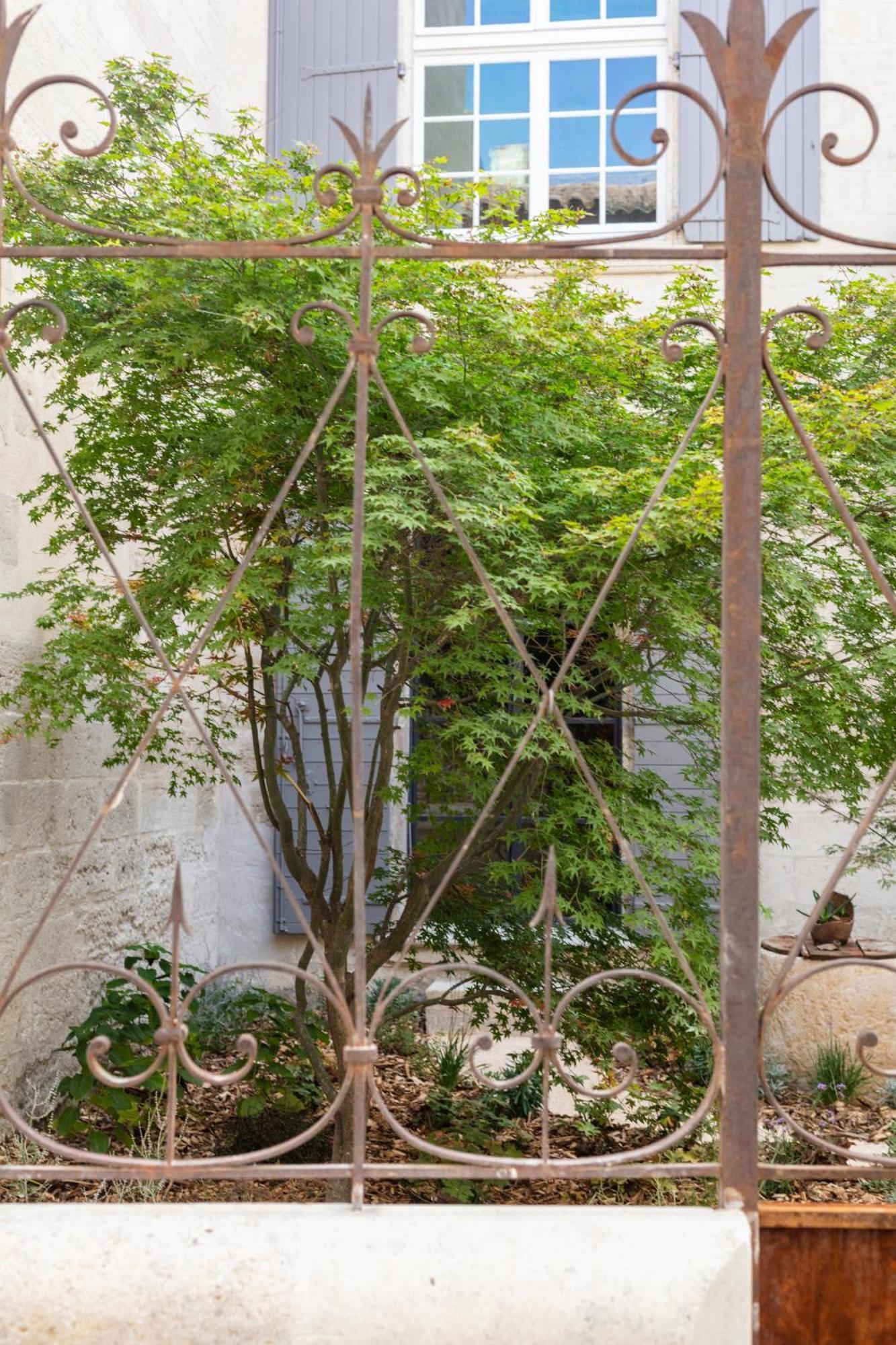 Maison Salix Vallabrègues المظهر الخارجي الصورة